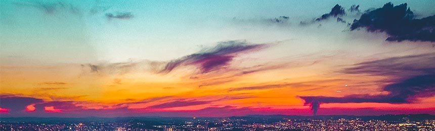 辽宁茶虫网_辽宁品茶